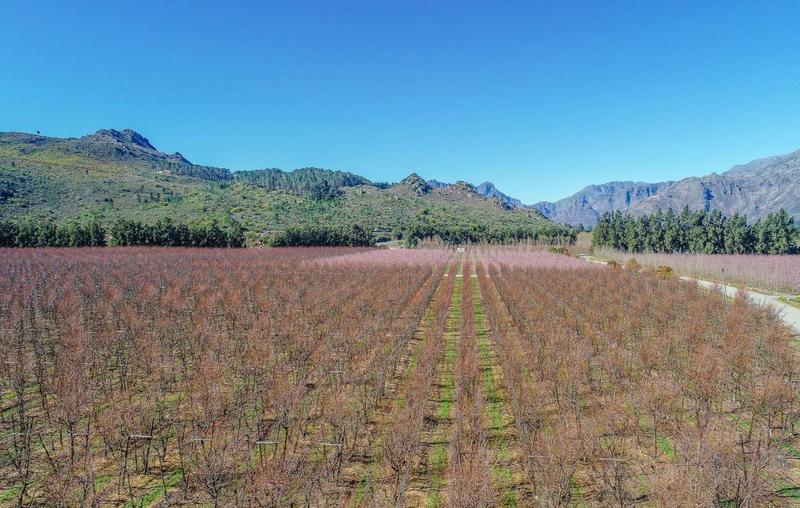 0 Bedroom Property for Sale in Franschhoek Western Cape